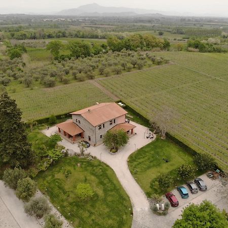 Agrituirsmo Masseria Campierti Falciano del Massico Eksteriør billede