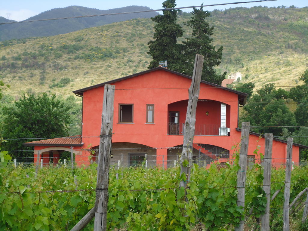 Agrituirsmo Masseria Campierti Falciano del Massico Eksteriør billede